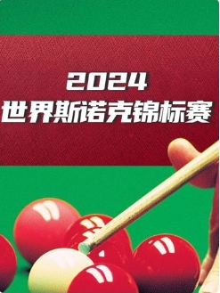 斯诺克国锦赛 徐思5-3丁俊晖20241109